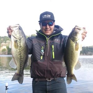 Meet your Posher, Nicholas